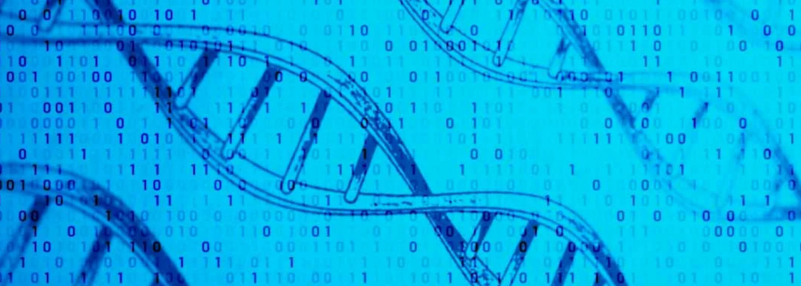 L'ADN est un support d'avenir pour archiver les mégadonnées